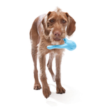 Tizzi® Treat Fetch Dog Toy