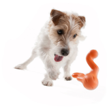 Tizzi® Treat Fetch Dog Toy